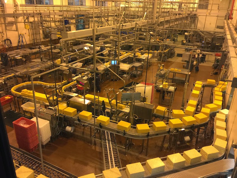 Checking Out the Cheese at the Tillamook Cheese Factory