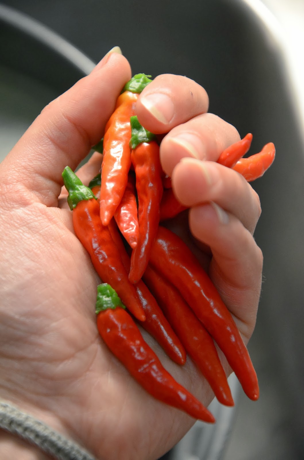 Sojourner Food pickled Thai chilis