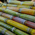 Sugarcane juice health benefits in hindi | गन्ने का रस पीने के फायदे