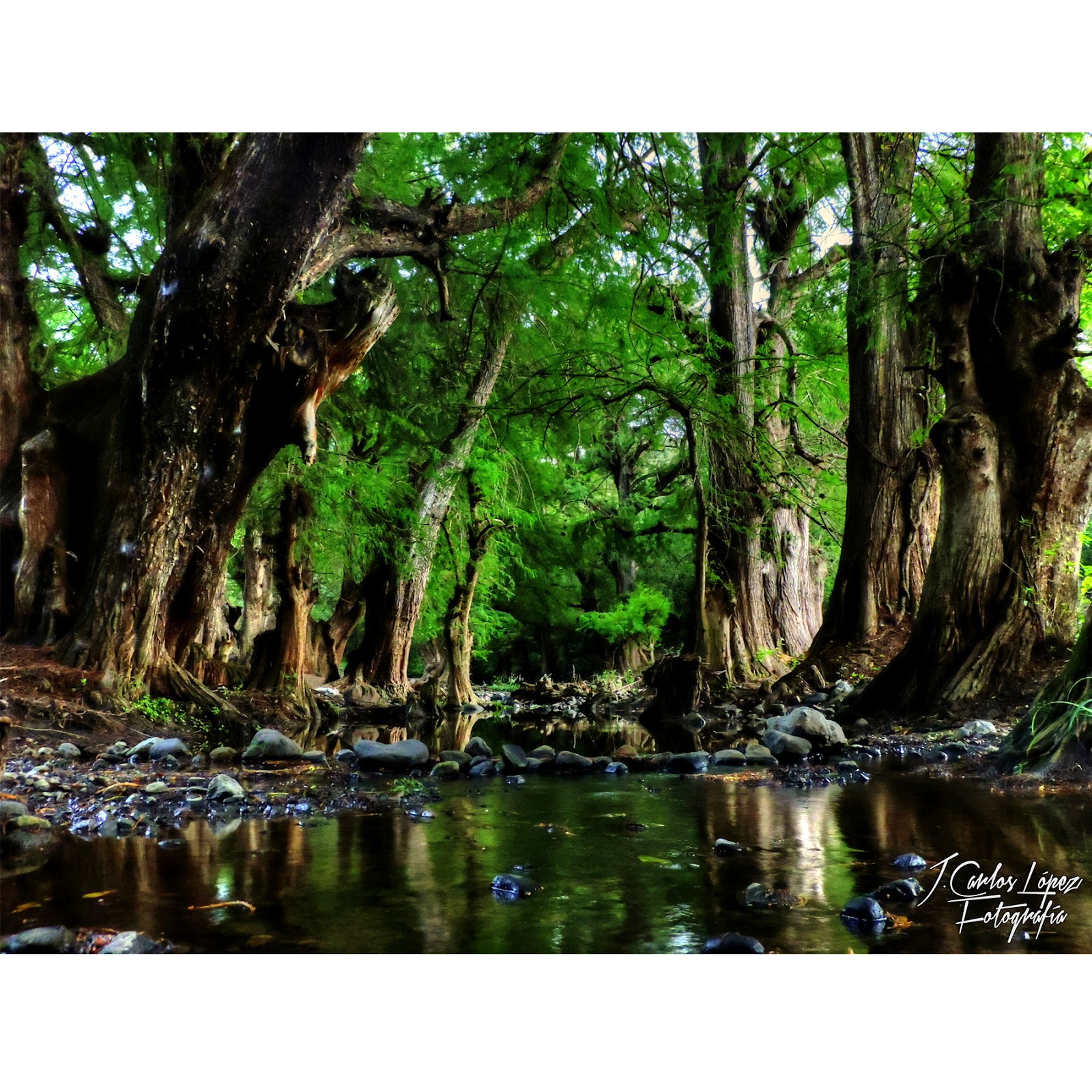 En Amilcingo Morelos Septiembre 2015 Tierra Caliente Guerrero Blogs