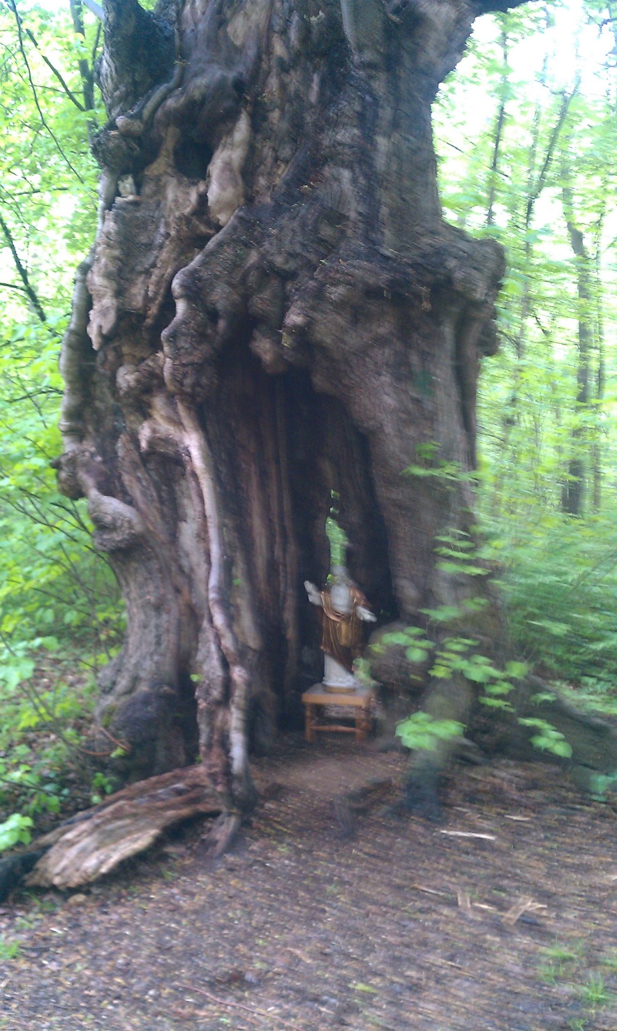 Running Routes Munich Nymphenburg Running Route running-routes-munich-nymphenburg-running-route