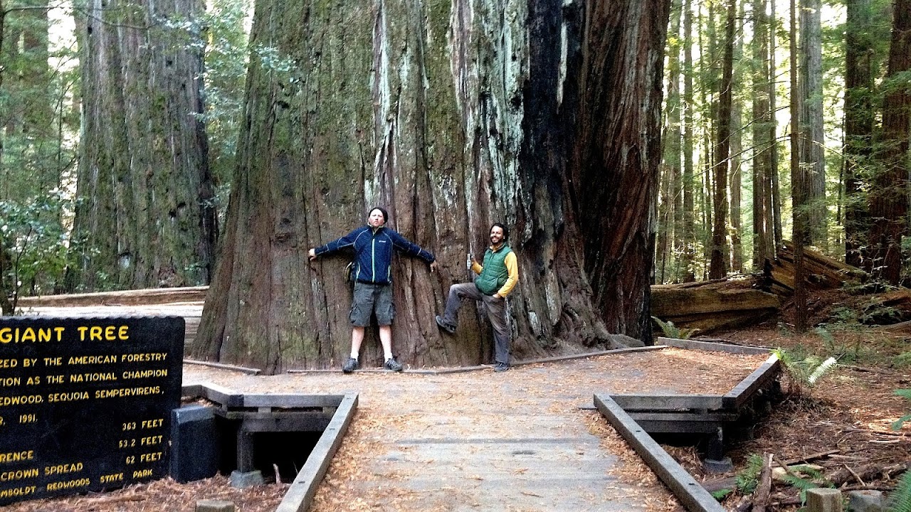 Humboldt Redwoods State Park Camping Trip to Park Humboldt Redwoods State Park Camping Trip to Park