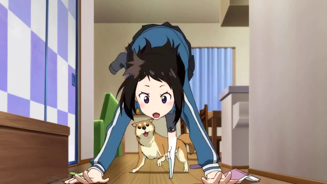 Anime with over 100 episodes
