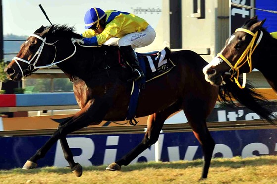 Yakeen Yakeen - Vodacom Durban July 2018 contender