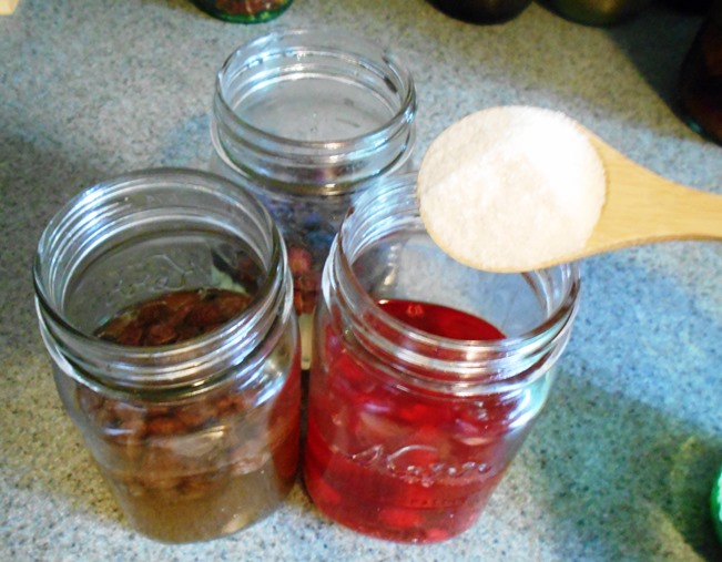 How To Make a Fermentation Starter