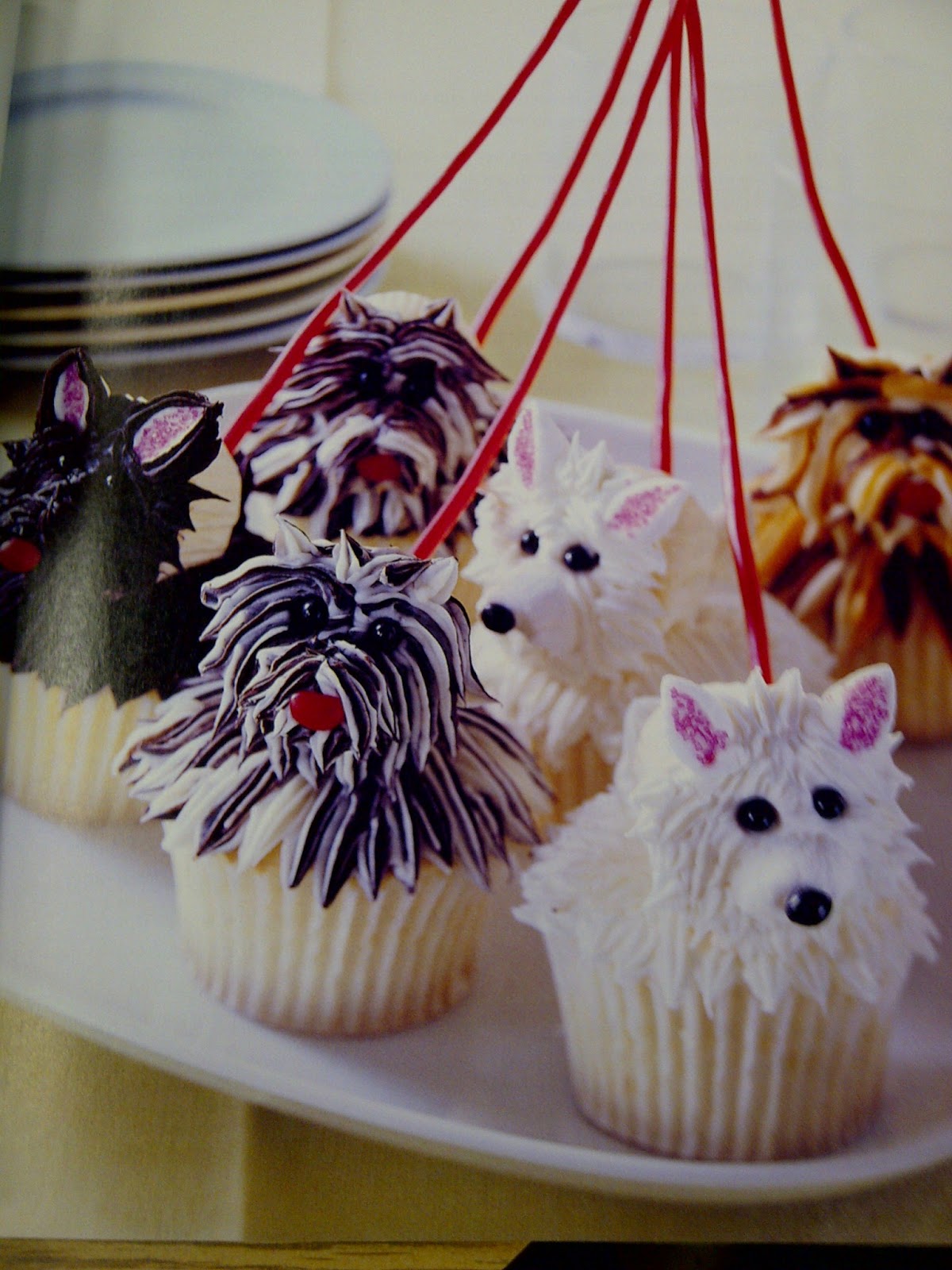Hello Cupcake dogs