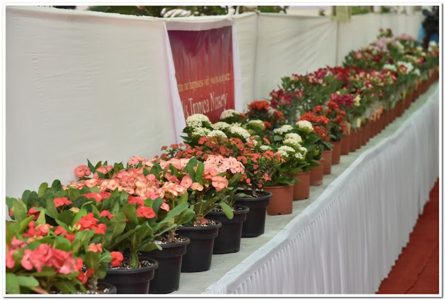 Mumbai International Airport and GVK Botanical Gardens in association with the Mumbai Rose Society bring to you the 4th 'International Flower Show Mumbai International Airport and GVK Botanical Gardens in association with the Mumbai Rose Society bring to you the 4th 'International Flower Show