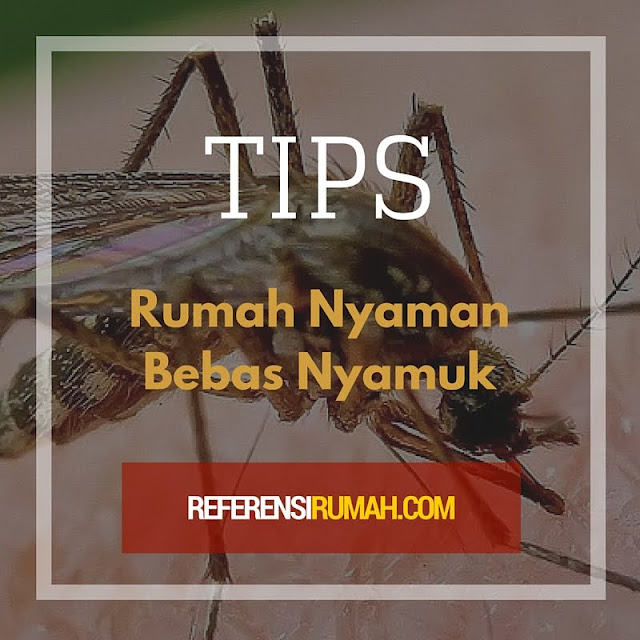 Ternyata Inilah Rahasia Supaya Rumah Anda Bebas Dari Nyamuk 