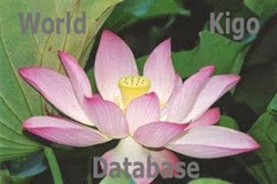 WKD - World Kigo Database