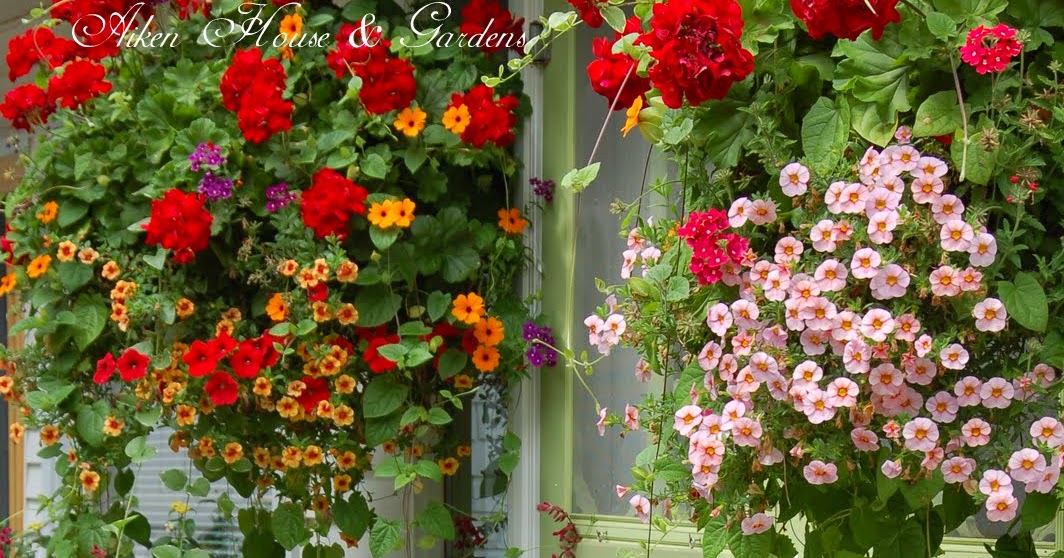 Aiken House & Gardens: Window Boxes and Container Ideas
