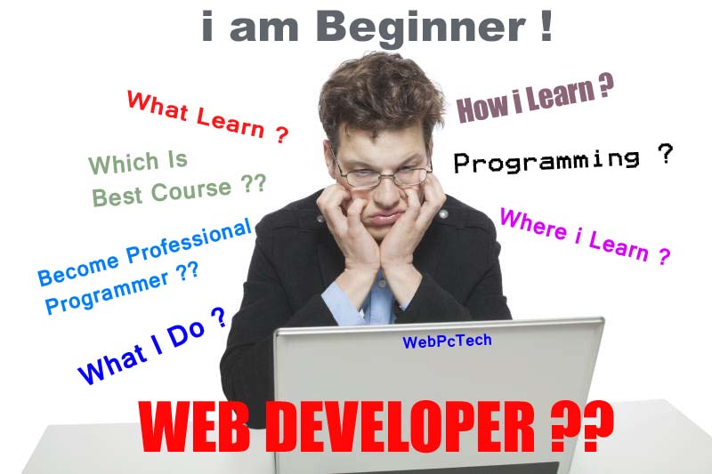 what does a web developer do