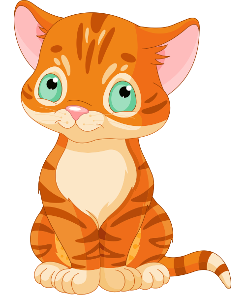 Wide-Eyed Orange Cat