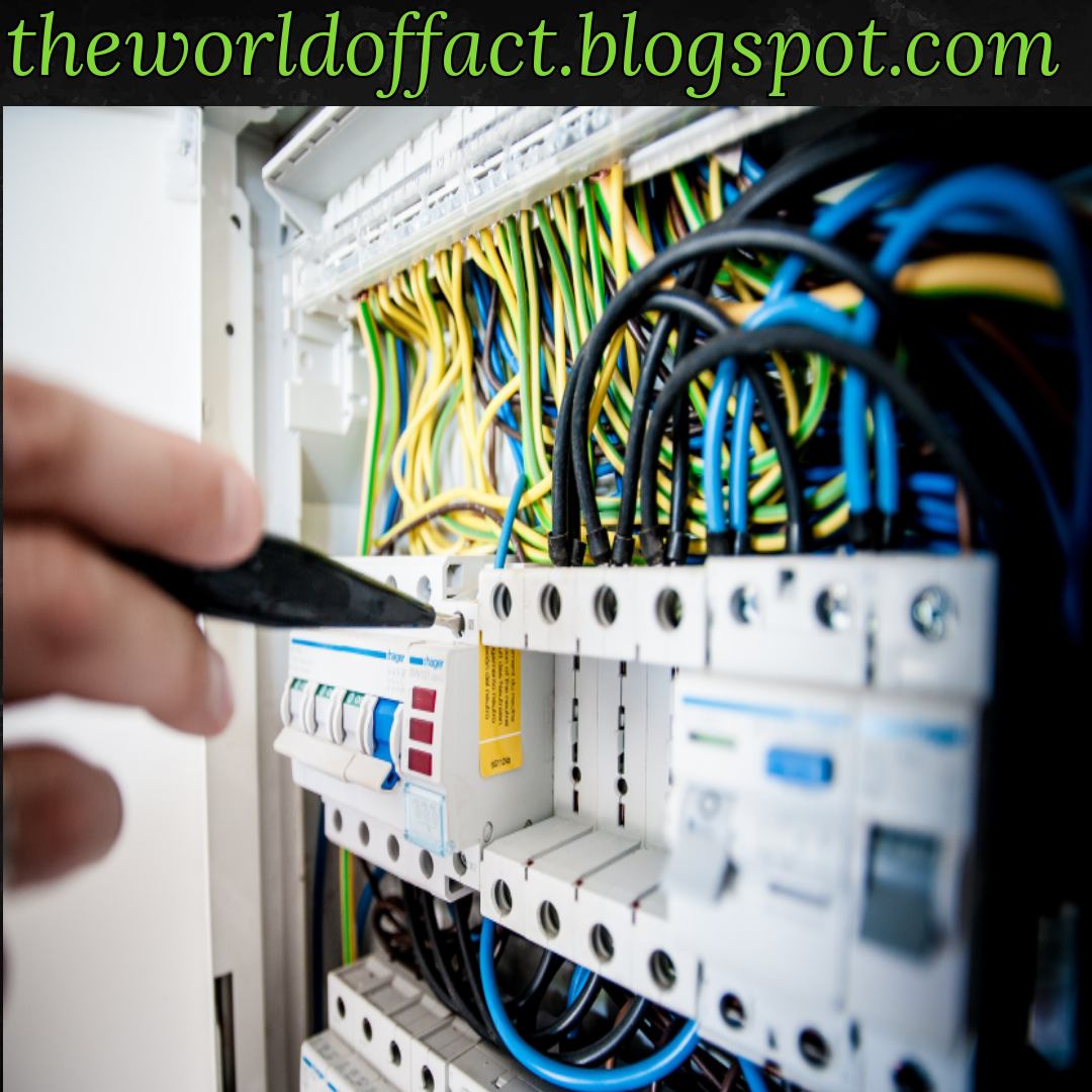 What is the fastest Internet speed ever recorded?