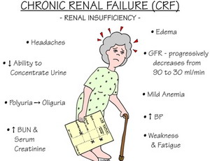 renal failure chronic kidney nursing disease crf symptoms exam signs quizlet meaning causes cfr function 313r insufficiency nurse notes surg