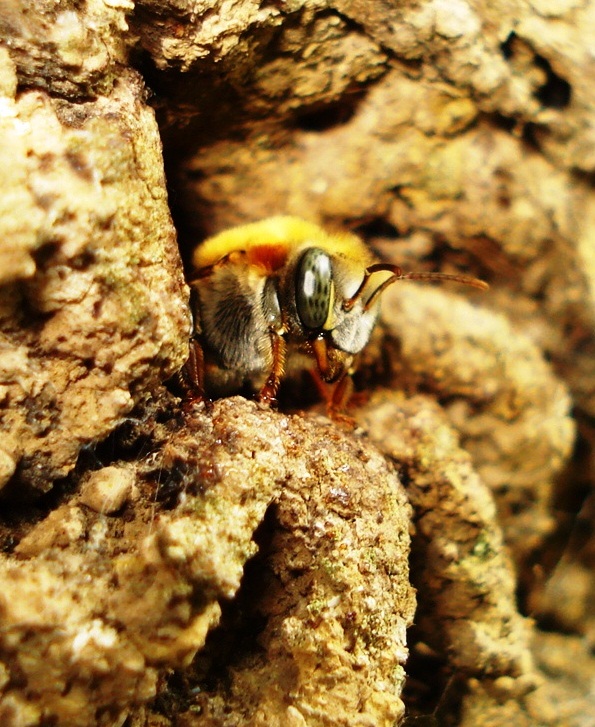 La guía definitiva para cercano a la ribera occidental está el lago de Los 10 elementos clave en cercano a la ribera occidental está el lago de
