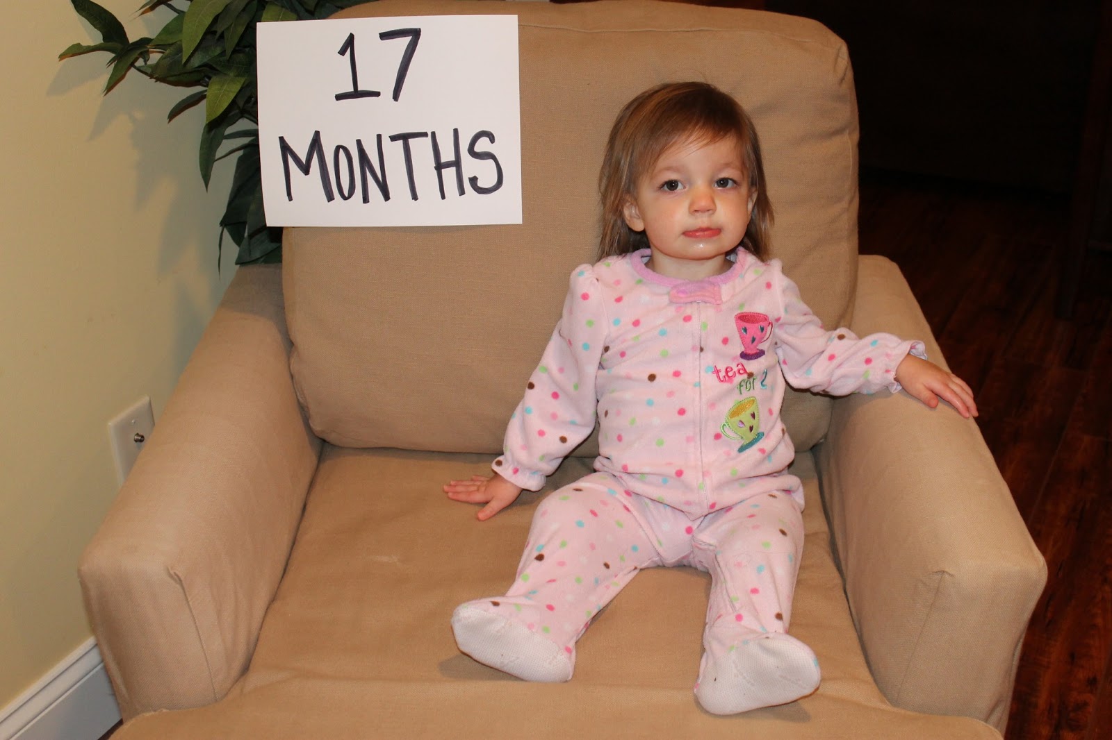 17 Months Old Baby Girl Development: What to Expect