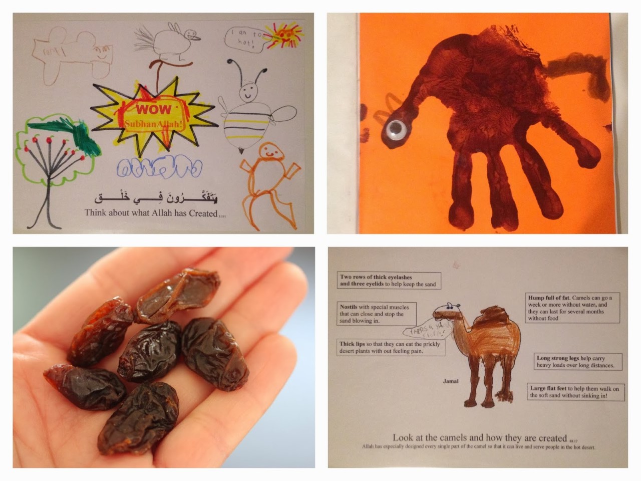 Animals in the Qur'an Islam From the Start