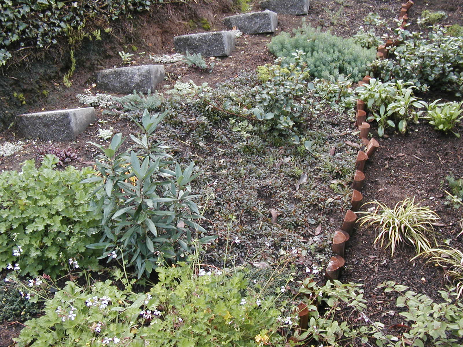 Late to the Garden Party The Slope is a Work in Progress