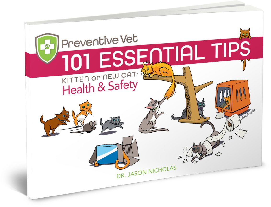 Melissa's Mochas, Mysteries and Meows: Book Review: 101 Essential Tips