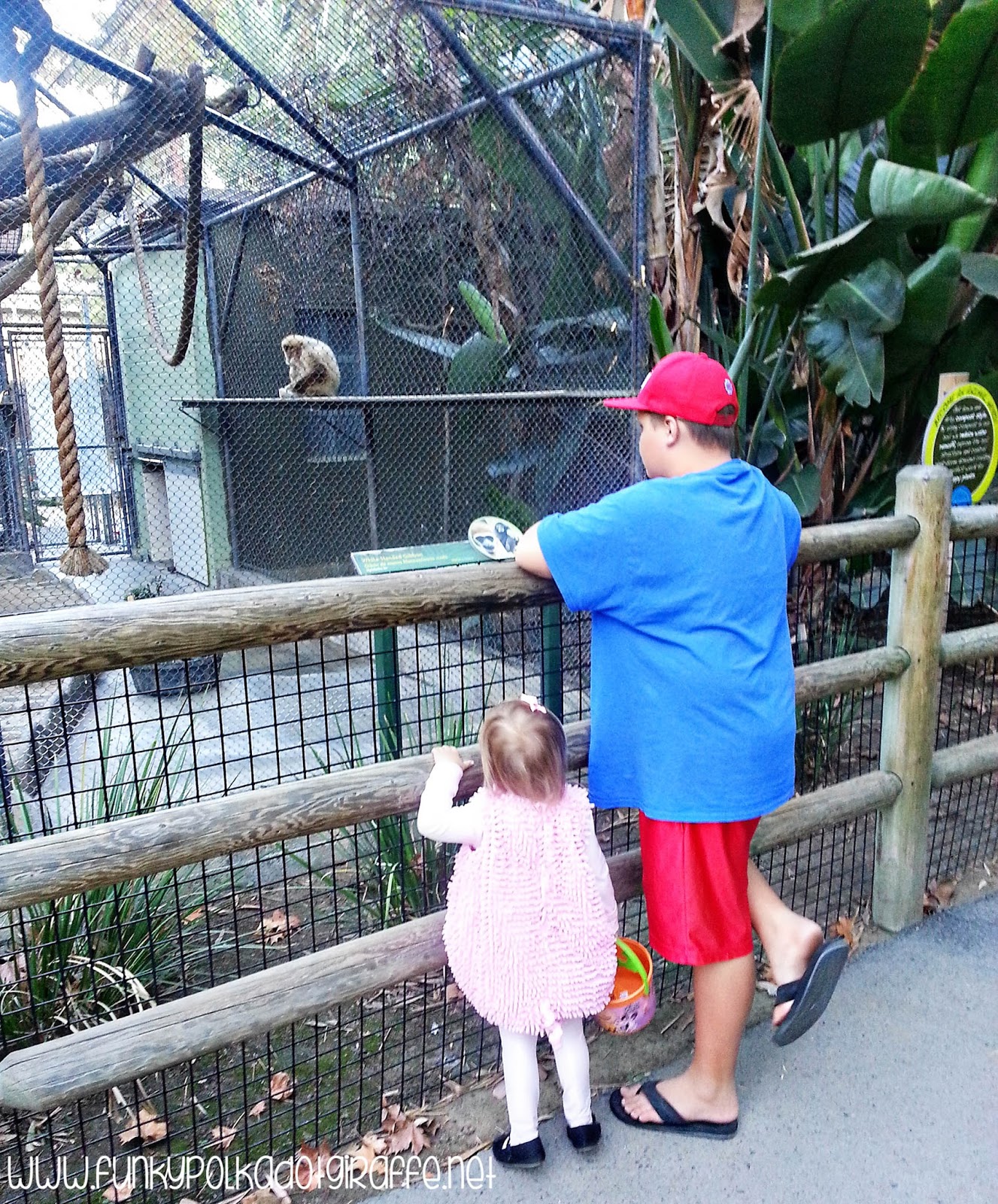 Funky Polkadot Giraffe Family Fun at BOO at the Santa Ana Zoo