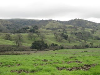 Clouds touch the foothills of Mt. Hamilton, San Jose, California