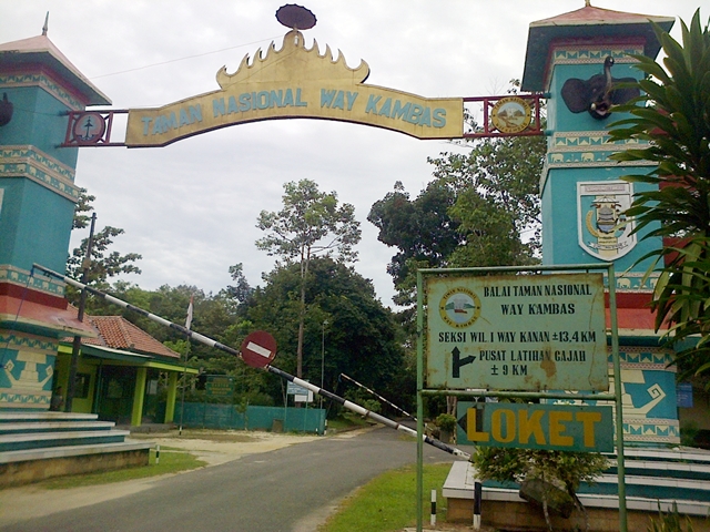 Taman nasional way kambas terletak di provinsi