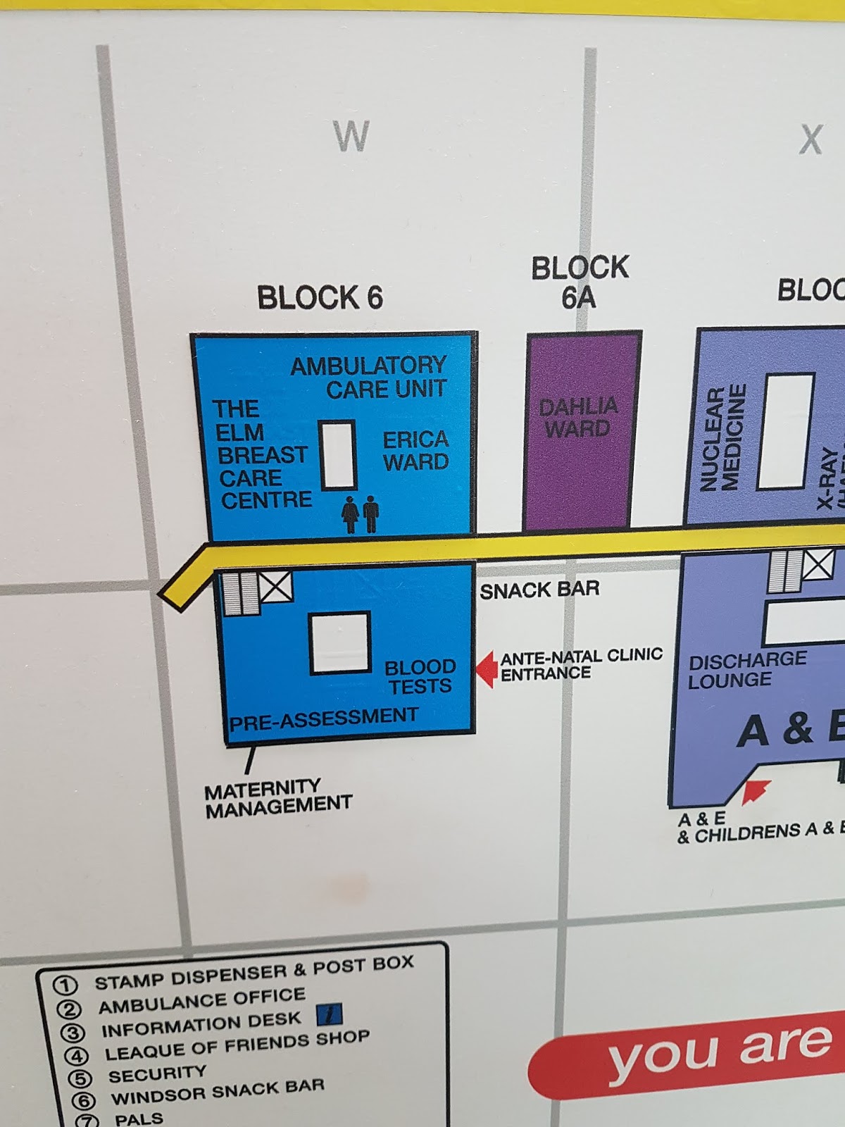 Save king george hospital january 2019