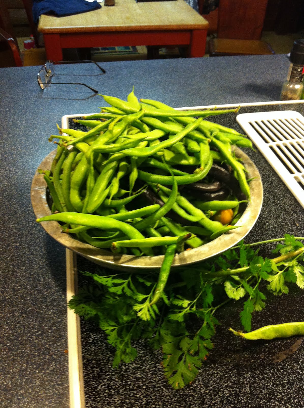 Random Light Just picked. Check your bean patch!