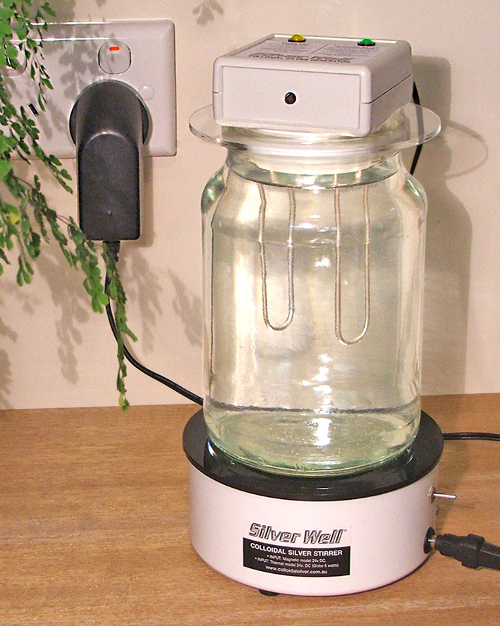 The Sunny Raw Kitchen 2017