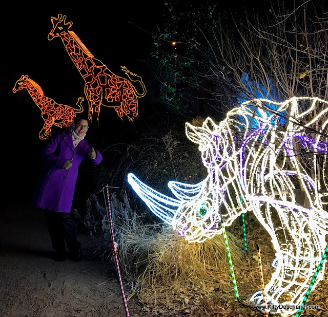 zoo lights albuquerque nm