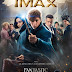 "Animais Fantásticos e Onde Habitam" ganha novo pôster IMAX
