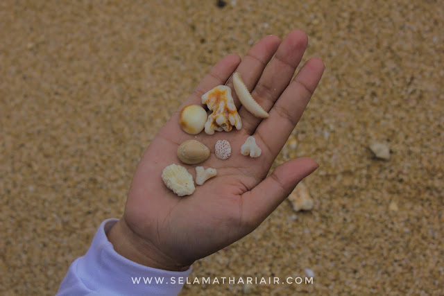www.selamathariair.com - Pantai Watu Kodok Gunung Kidul