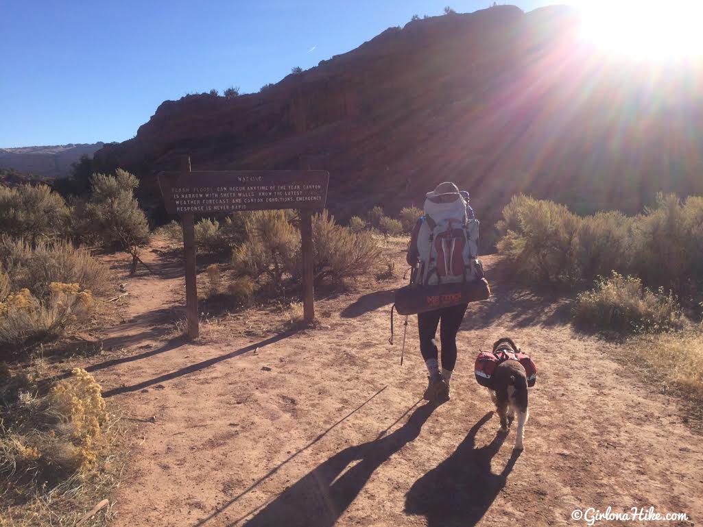 Can Dogs Hike Buckskin Gulch Can Dogs Hike Buckskin Gulch