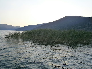 λίμνη Μικρή Πρέσπα