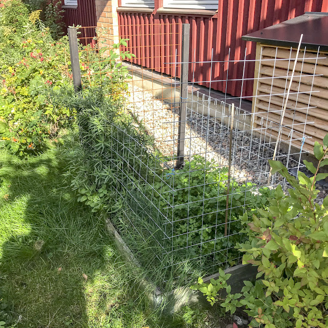 odlingsbox, radonsug odlingsbox, radonsug
