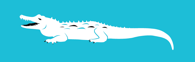 vector illustration of a crocodile