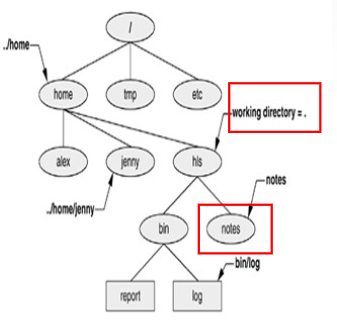 Difference between absolute path and relative path - Linux