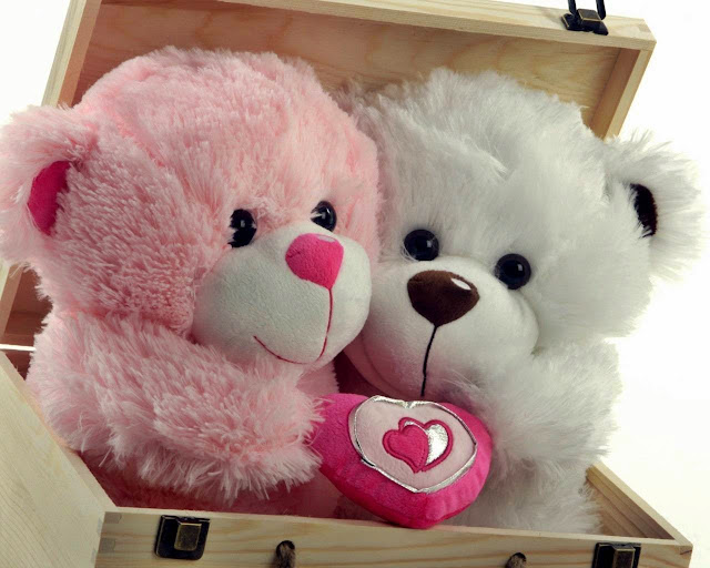 Teddy Day Messages Teddy Day Messages