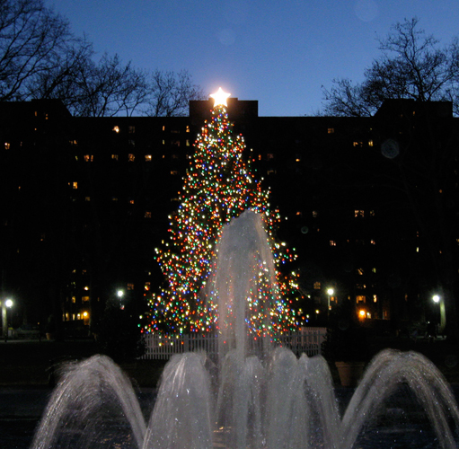 The Stuyvesant Town Report Stuy Town's Impressive Christmas Tree