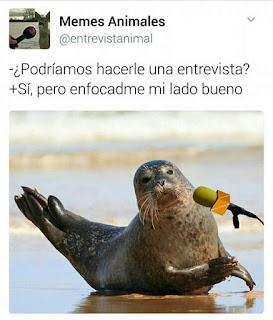 enfocadme mi lado bueno enfocadme mi lado bueno