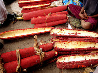 Buah Merah Papua Tumbuhan Obat Asam Urat Dan Rematik