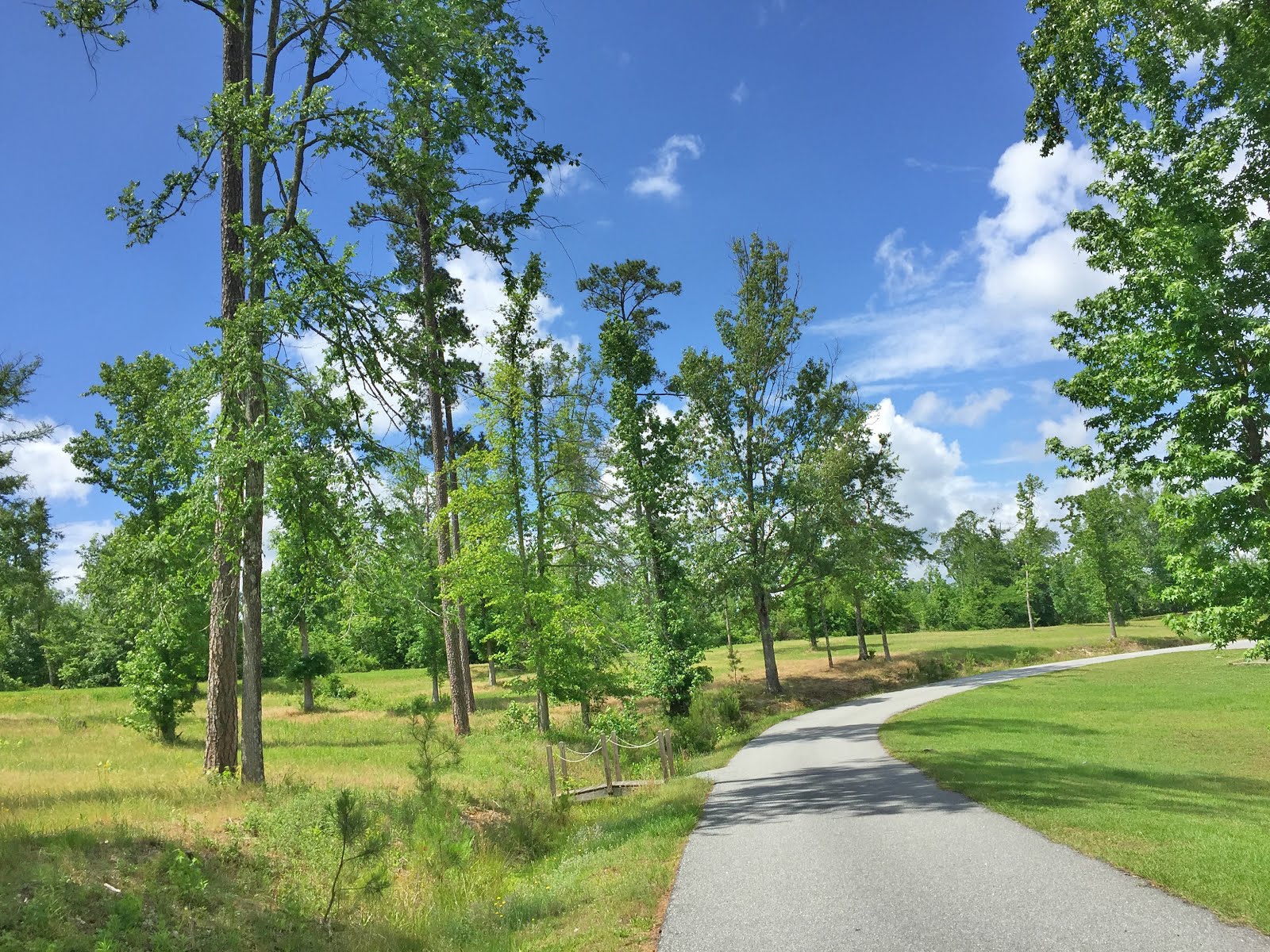 BLUE SKY AHEAD Lake Tobesokfee, Arrowhead Park, Macon, GA