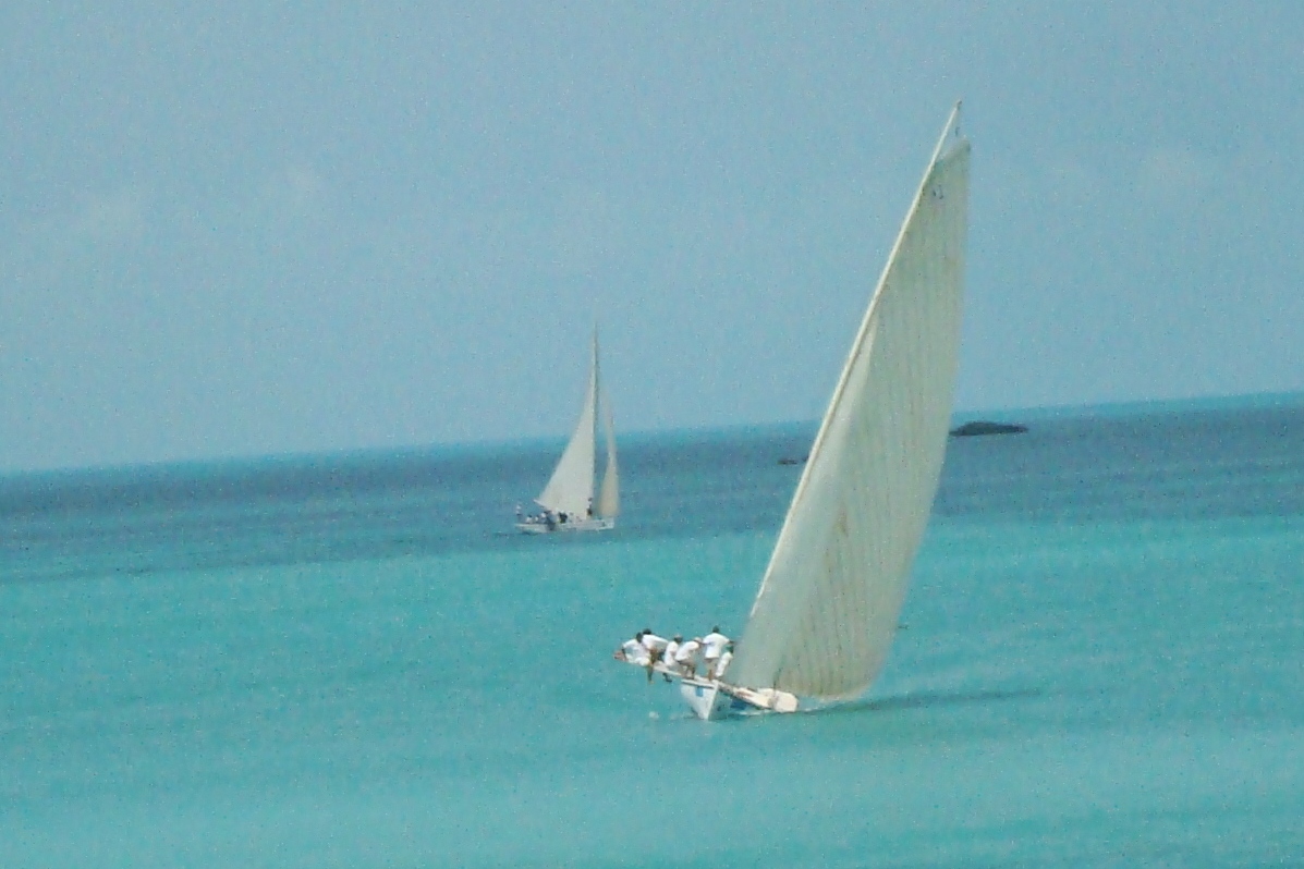 Wind Dancer Cruises The Long Island Regatta