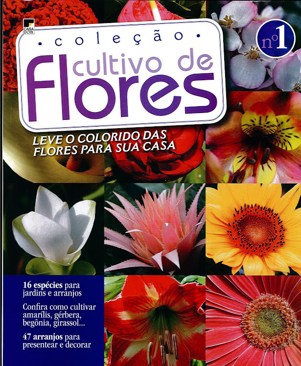 Revista Edição Nova , Com varias Ikebanas com participação do Prof Marcio Soares.