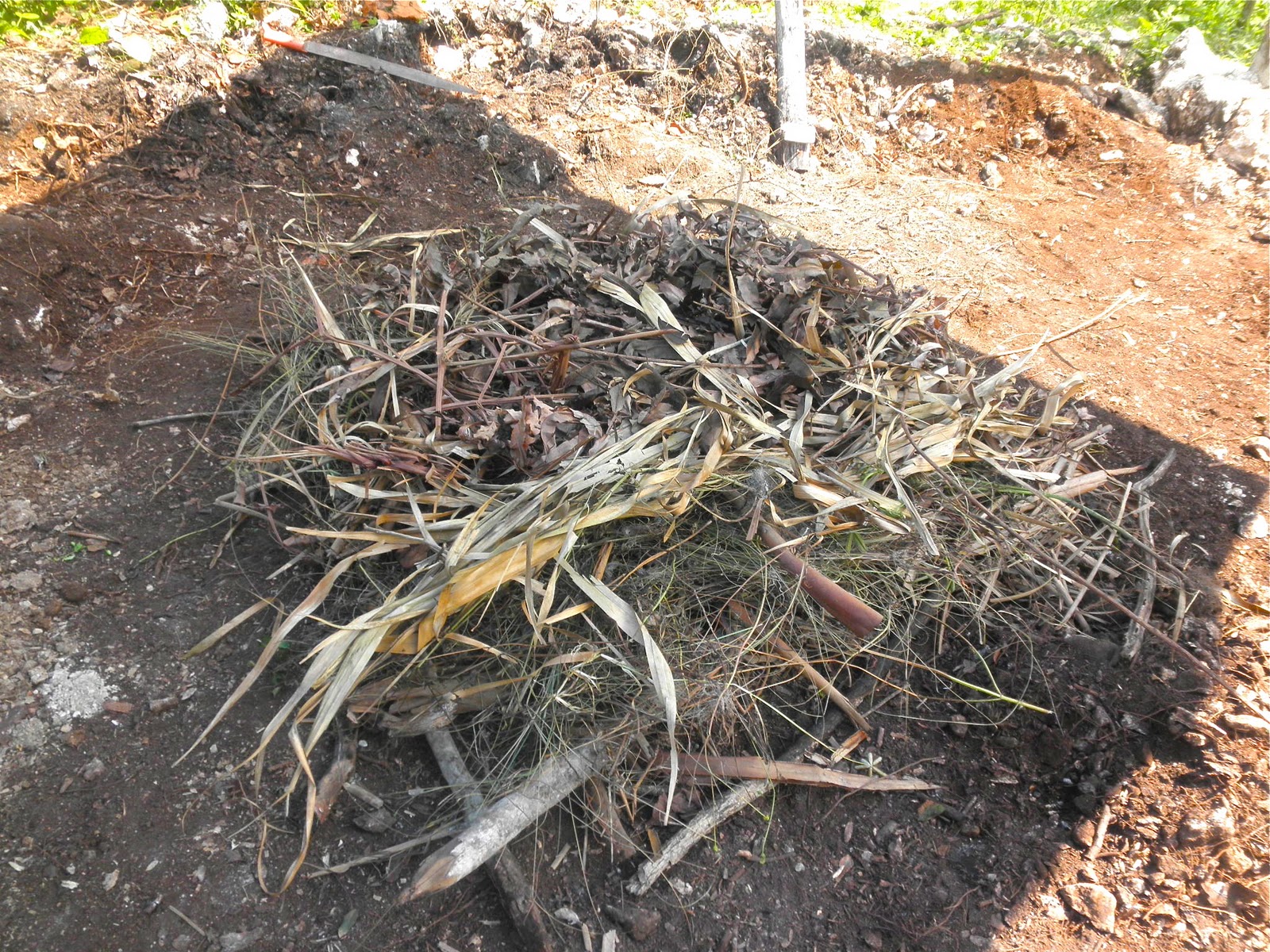 Moment to Moment Snakes and compost