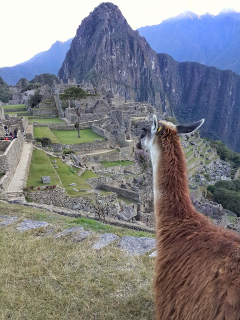 Blog Apaixonados por Viagens - Nascer do Sol - Top 10 - Os mais Lindos Blog Apaixonados por Viagens - Nascer do Sol - Top 10 - Os mais Lindos