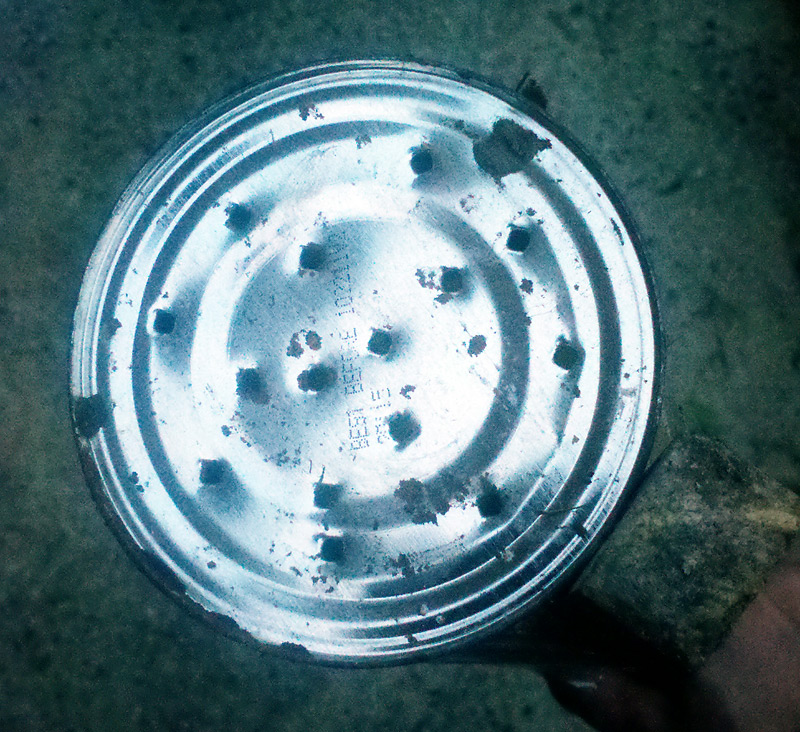 Milky Spore Dispenser On a Stick!