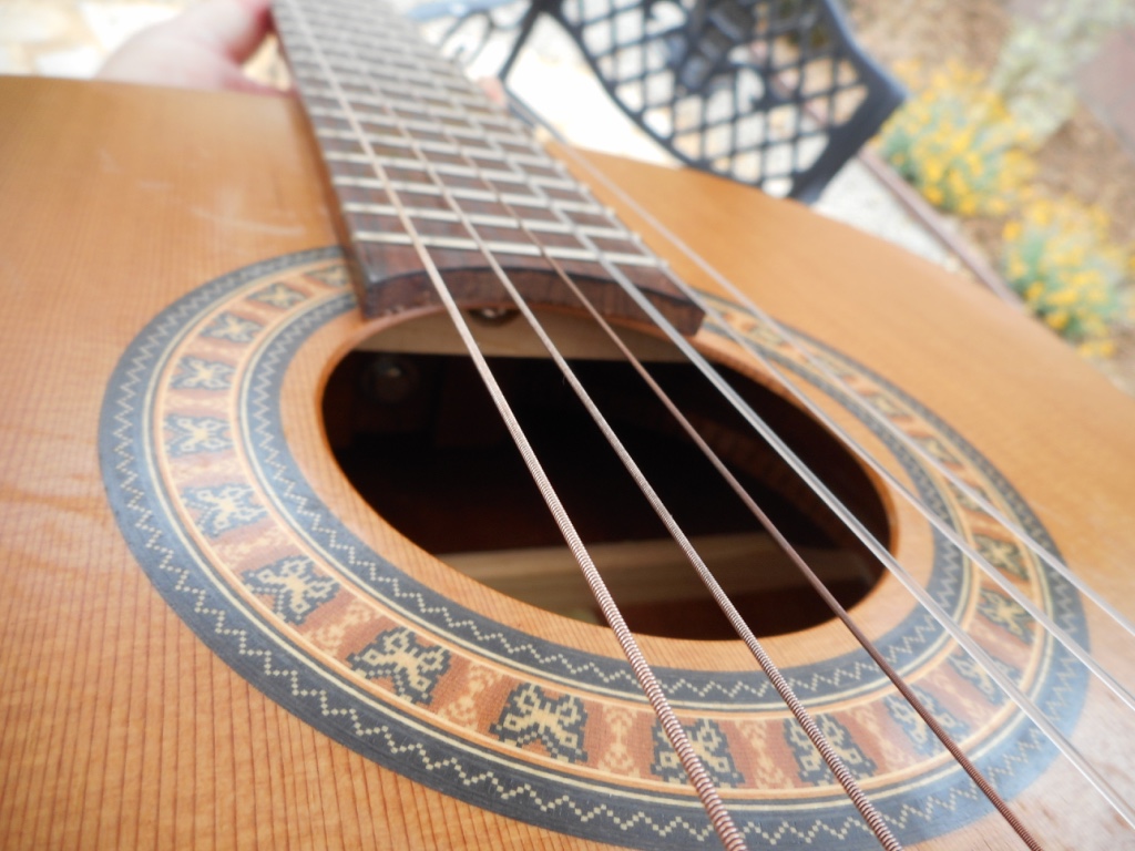 Rex and the Bass La Patrie Etude Acoustic Guitar Review