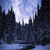 Paisagem Natural Floresta com Neve