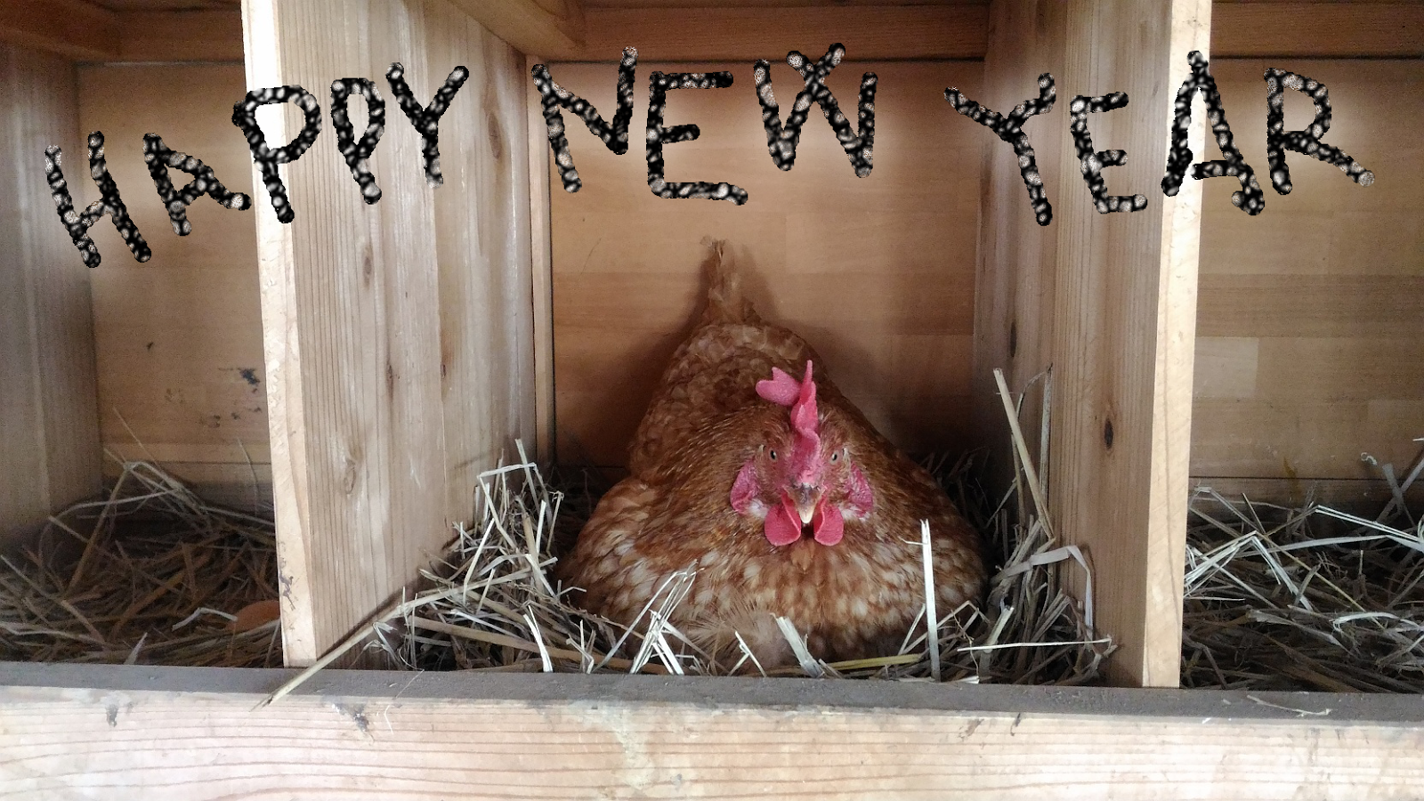 Solar Sharing - Solar panels, chickens and goats in Tsukuba, Japan: Happy New Year 2018!and